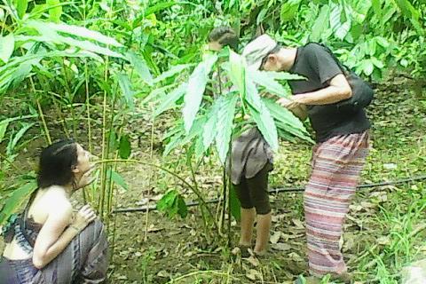 Sunleo Spice Villas & Homestay Munnar Zewnętrze zdjęcie
